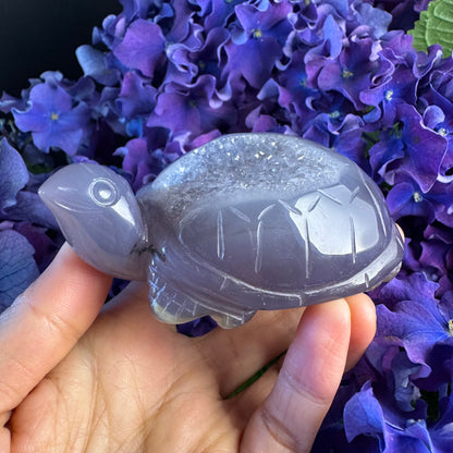 Treasure Turtle of AbundanceT#006