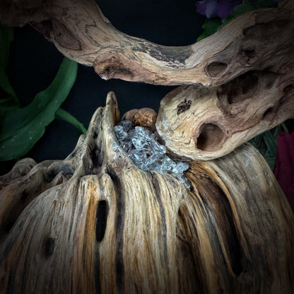 Green Aventurine Driftwood Bonsai · Millennial Pine Knot Energy Tree