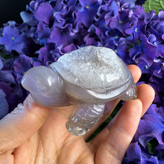 Treasure Turtle of AbundanceT#005