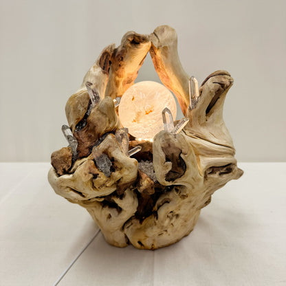 Fortune Vessel