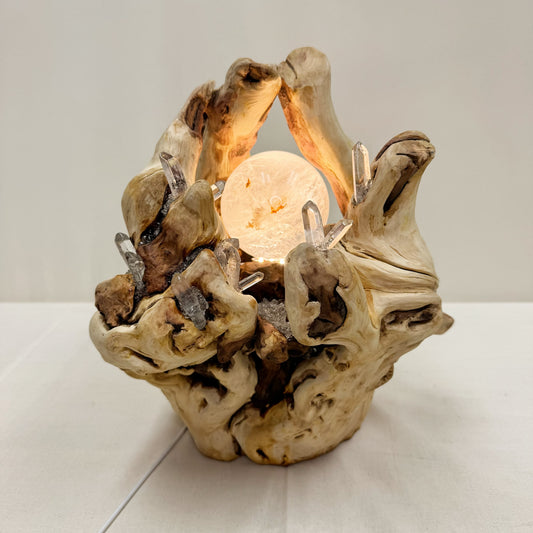 Fortune Vessel