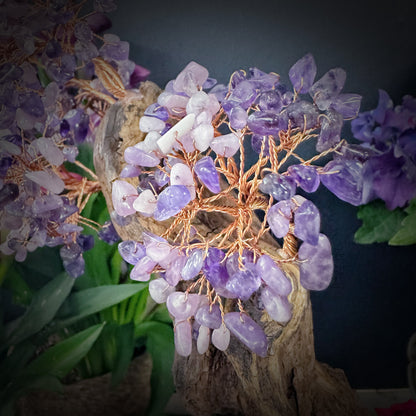 Mystic Bloom