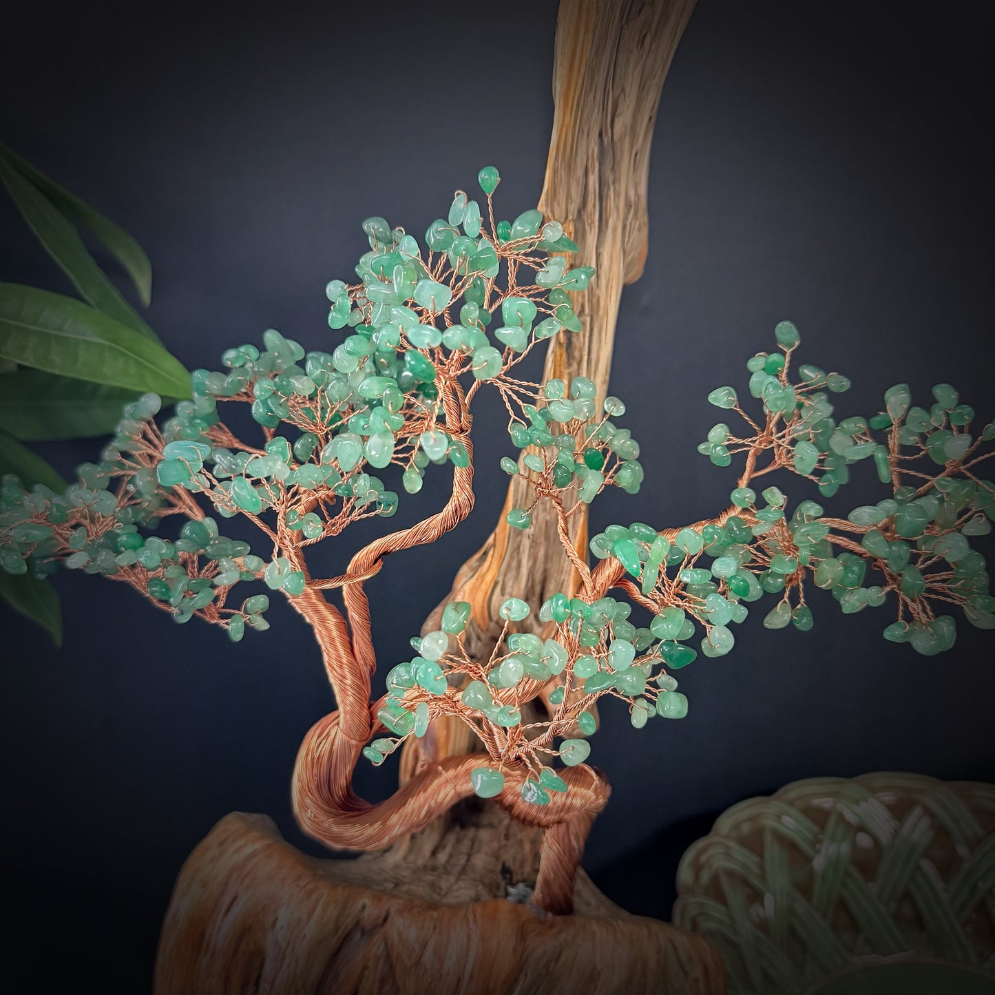 Momentum Tree
