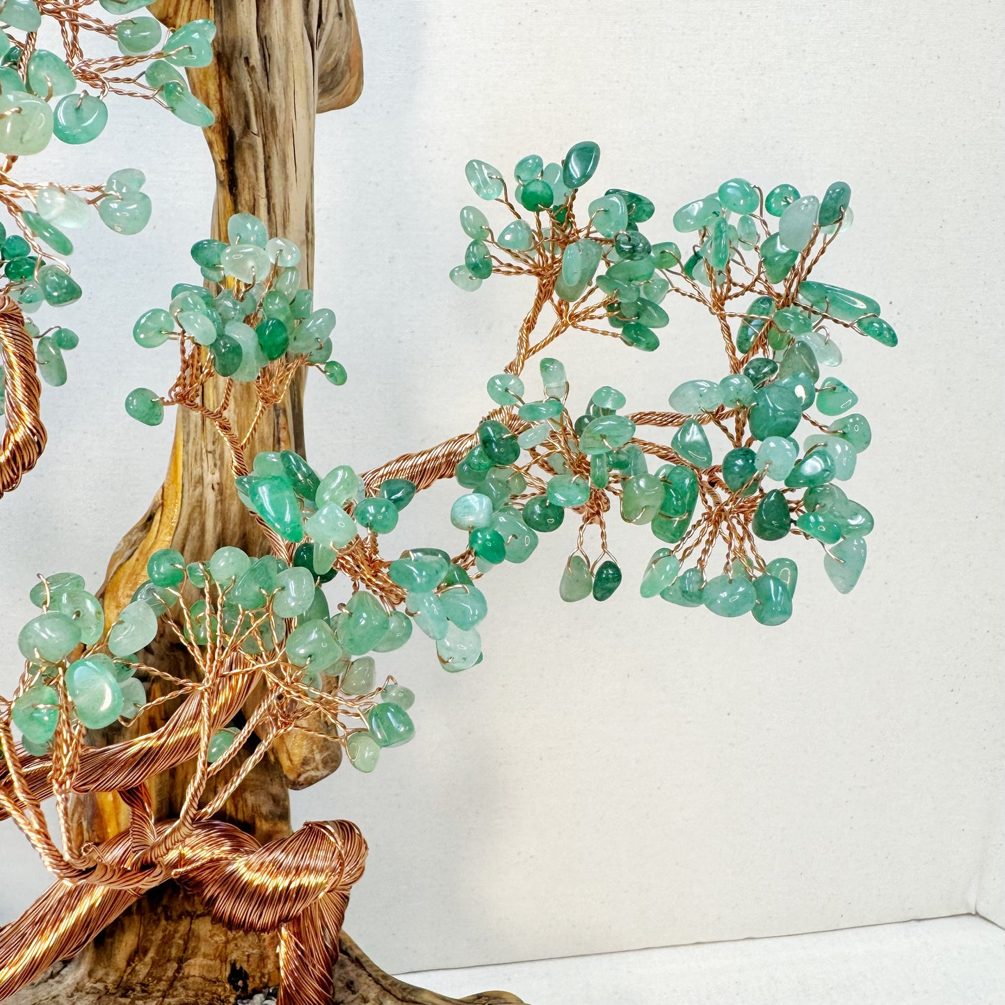 Momentum Tree