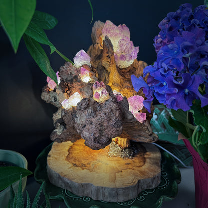 Mountain Flame · Amethyst Light on Ancient Wood