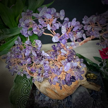 Amethyst Grove of Stillness