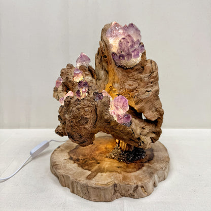 Mountain Flame · Amethyst Light on Ancient Wood