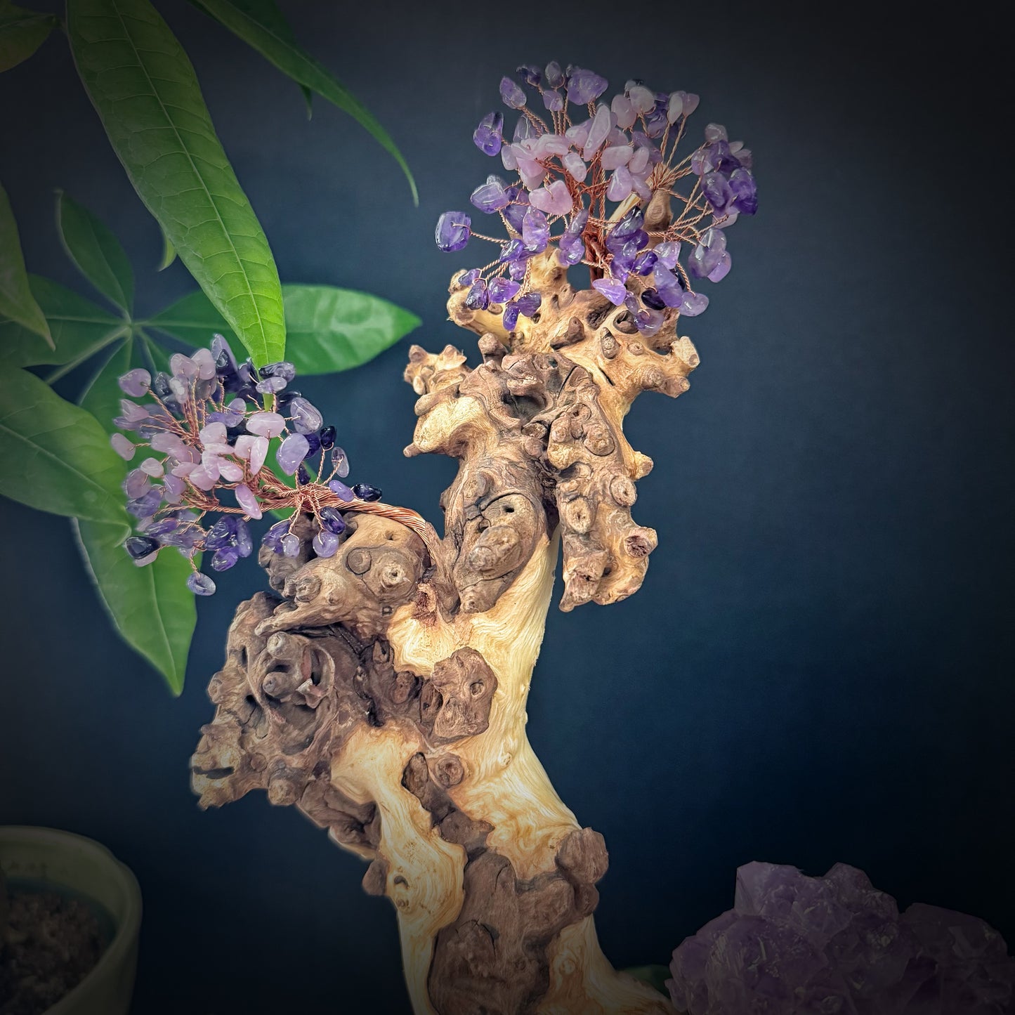 Soul Flame Tree · Amethyst Awakening