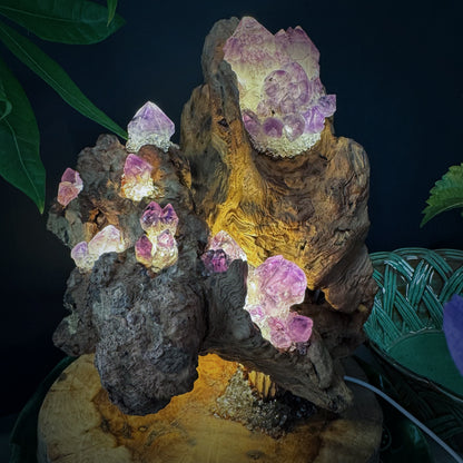 Mountain Flame · Amethyst Light on Ancient Wood