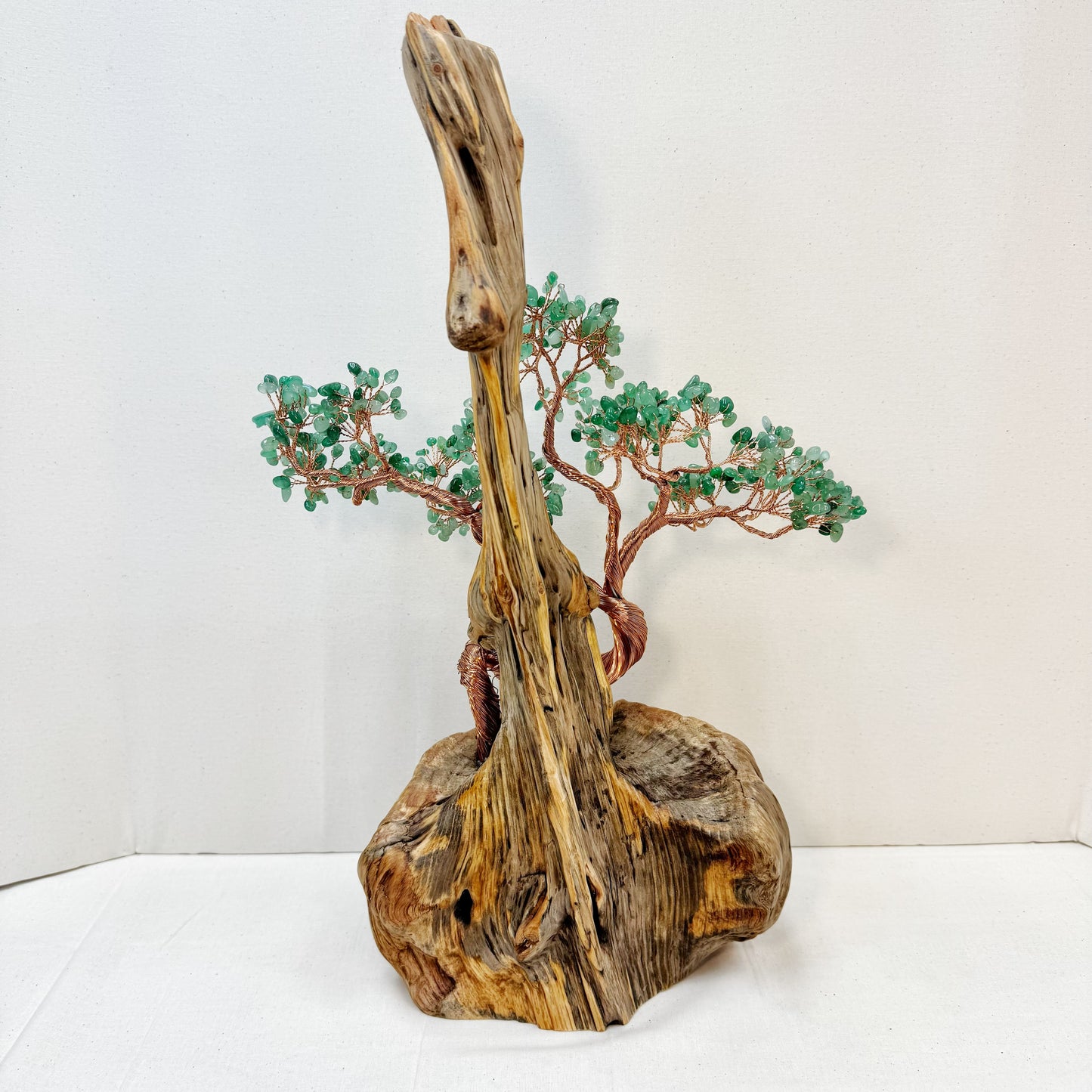 Momentum Tree
