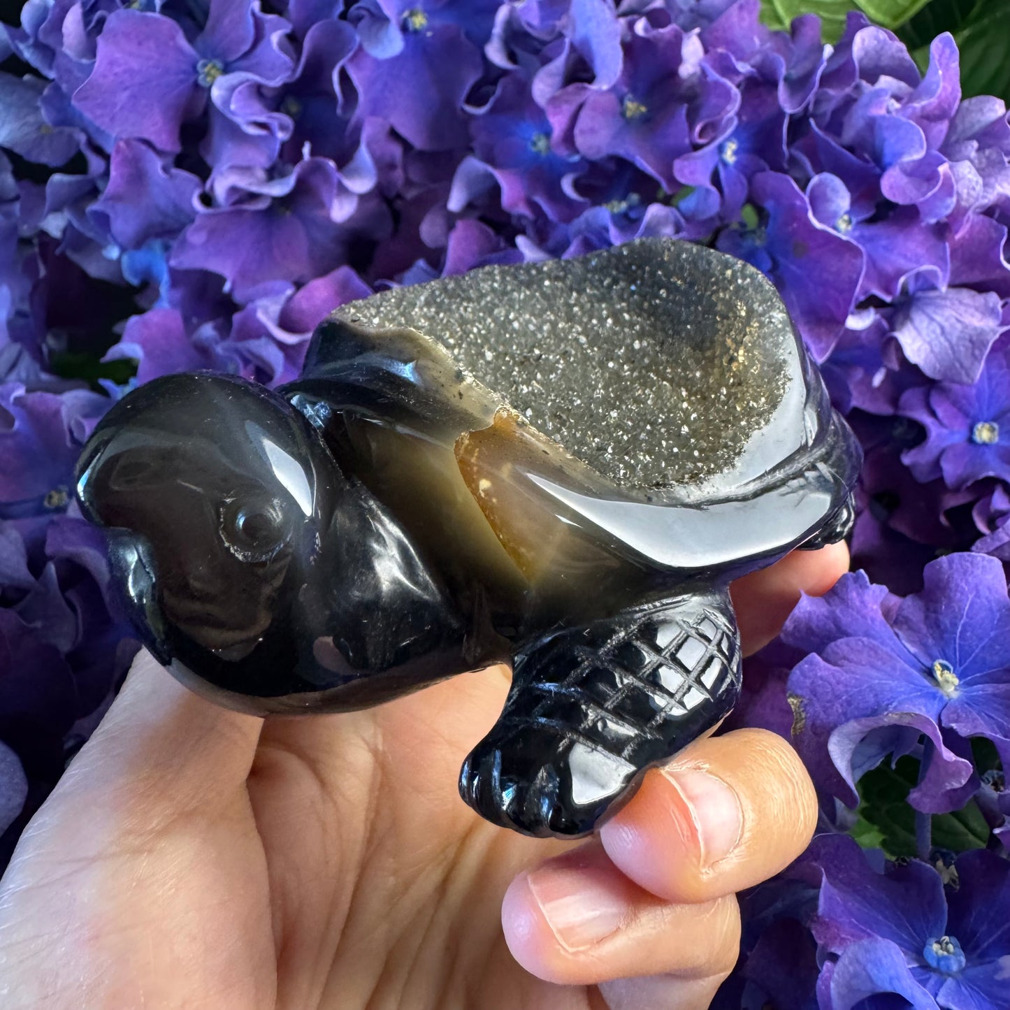 Treasure Turtle of AbundanceT#003