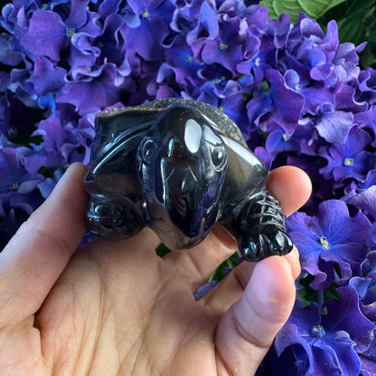 Treasure Turtle of AbundanceT#003
