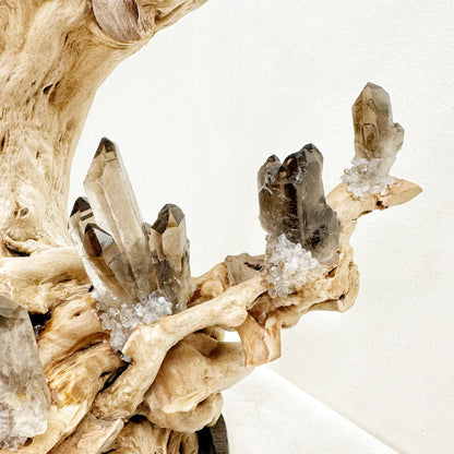 Tree of Grounding · Smoky Quartz on Ancient Wood