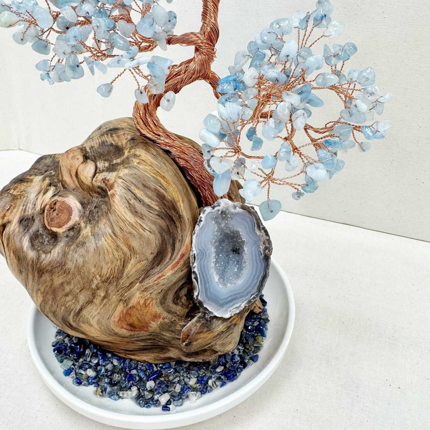 The Silent Sea Tree