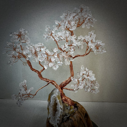 White Crystal Pine · Geode Energy Tree