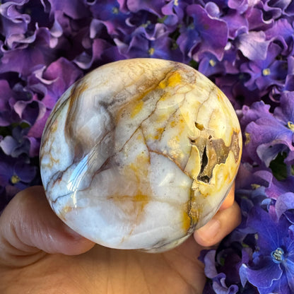 Ocean Wisdom Mushroom