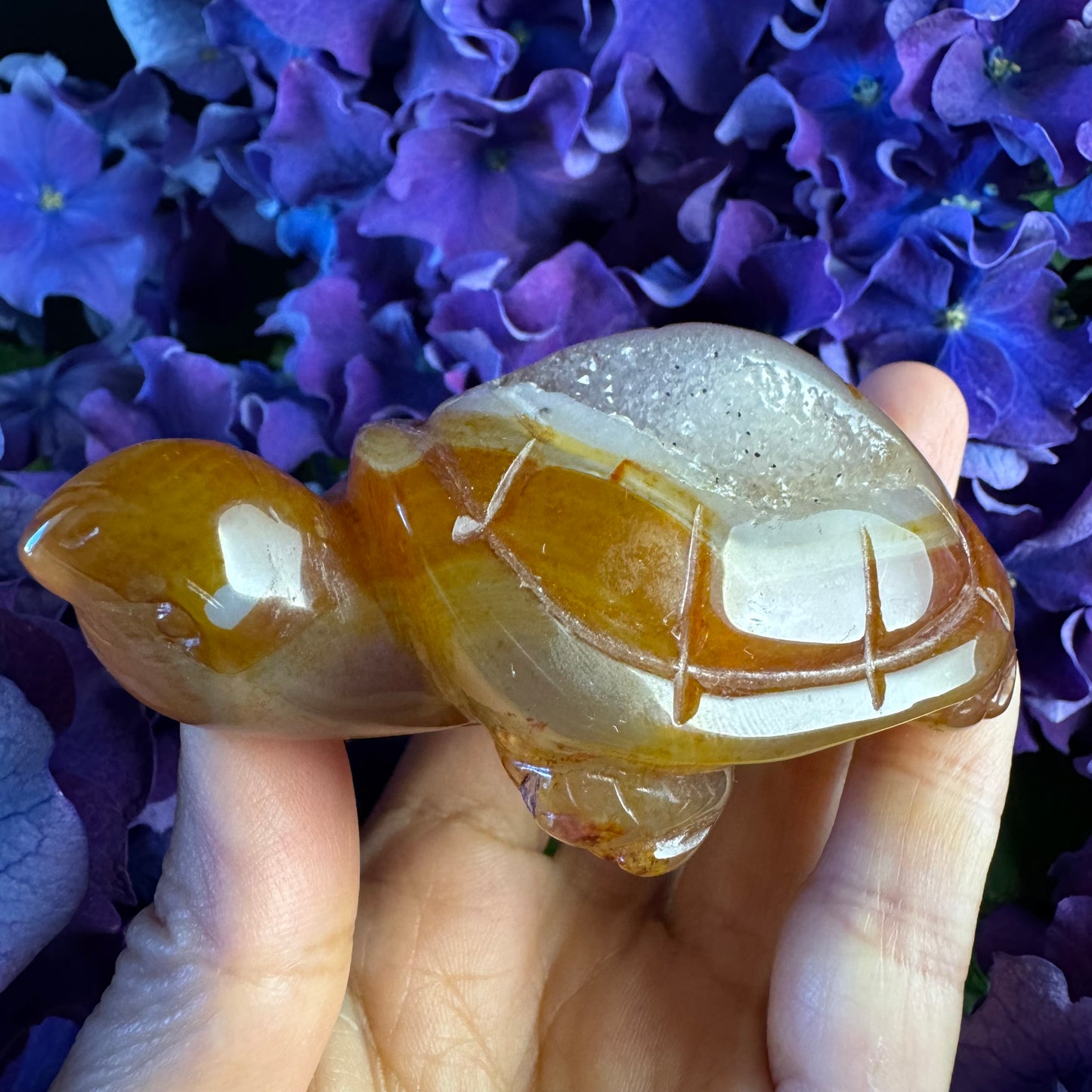 Treasure Turtle of AbundanceT#008
