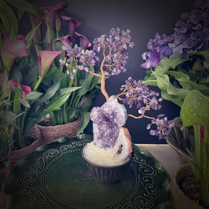 Purple Amethyst Bonsai · Crystal Cave Energy Tree