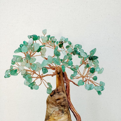 Gourd of Growth