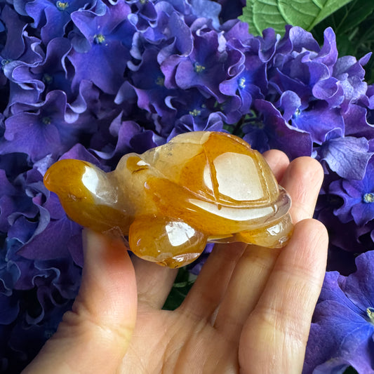 Treasure Turtle of AbundanceT#007