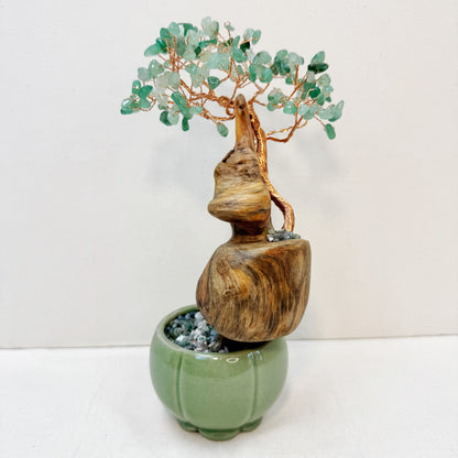 Gourd of Growth