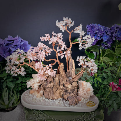 Circle of Love · Tree of Harmony and Emotional Resonance