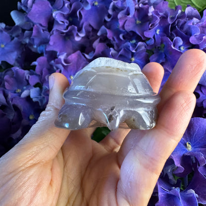 Treasure Turtle of AbundanceT#005