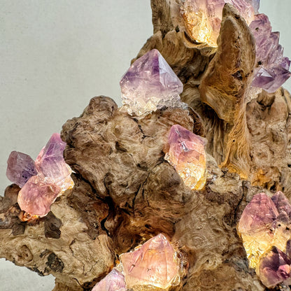 Mountain Flame · Amethyst Light on Ancient Wood