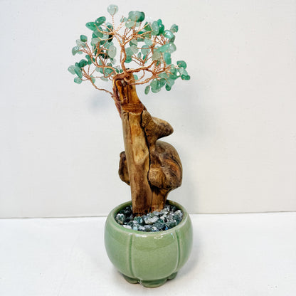 Gourd of Growth