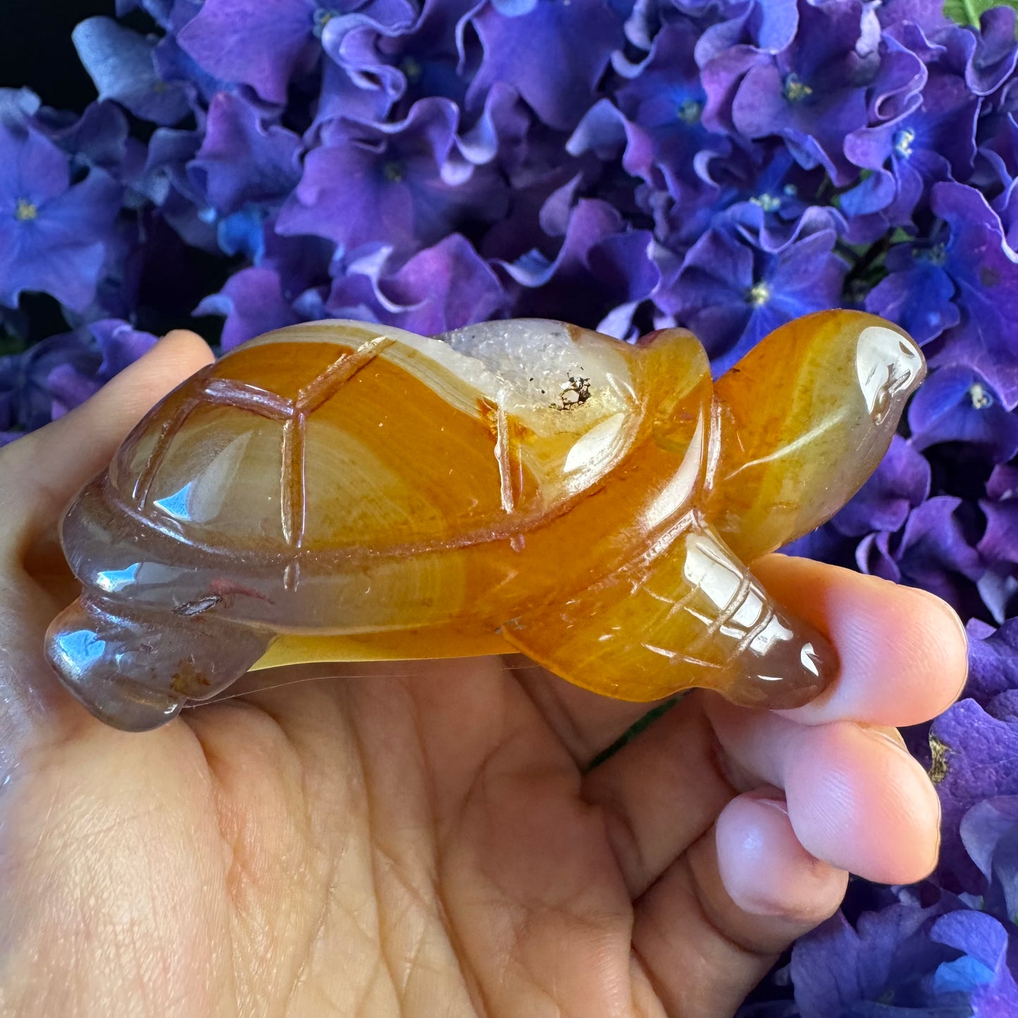 Treasure Turtle of AbundanceT#008