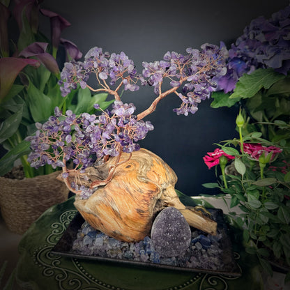 Amethyst Grove of Stillness
