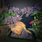 Amethyst Grove of Stillness