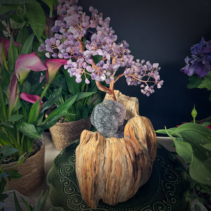 Lilac Flame Tree of Balance