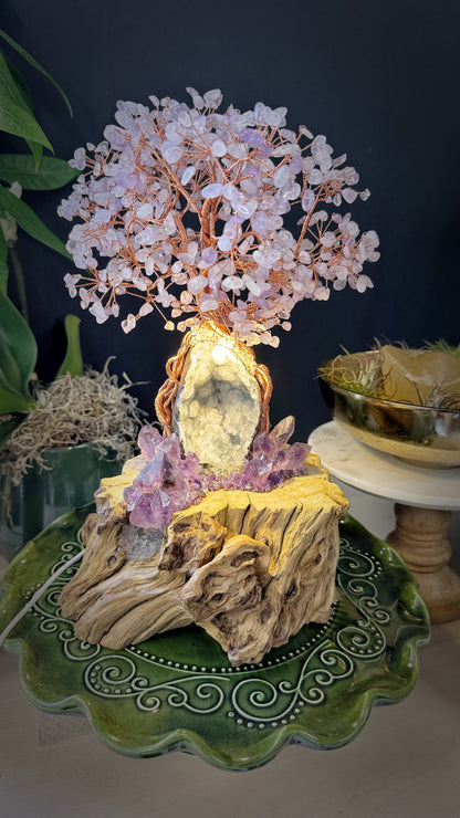 Amethyst Flame Tree