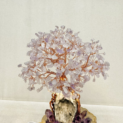 Amethyst Flame Tree