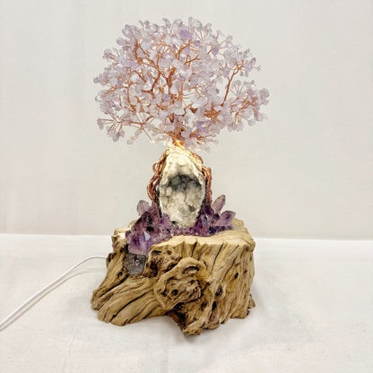 Amethyst Flame Tree
