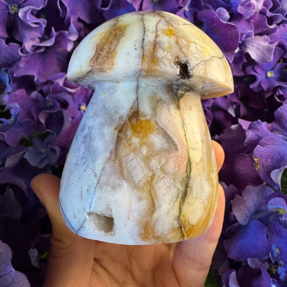 Ocean Wisdom Mushroom