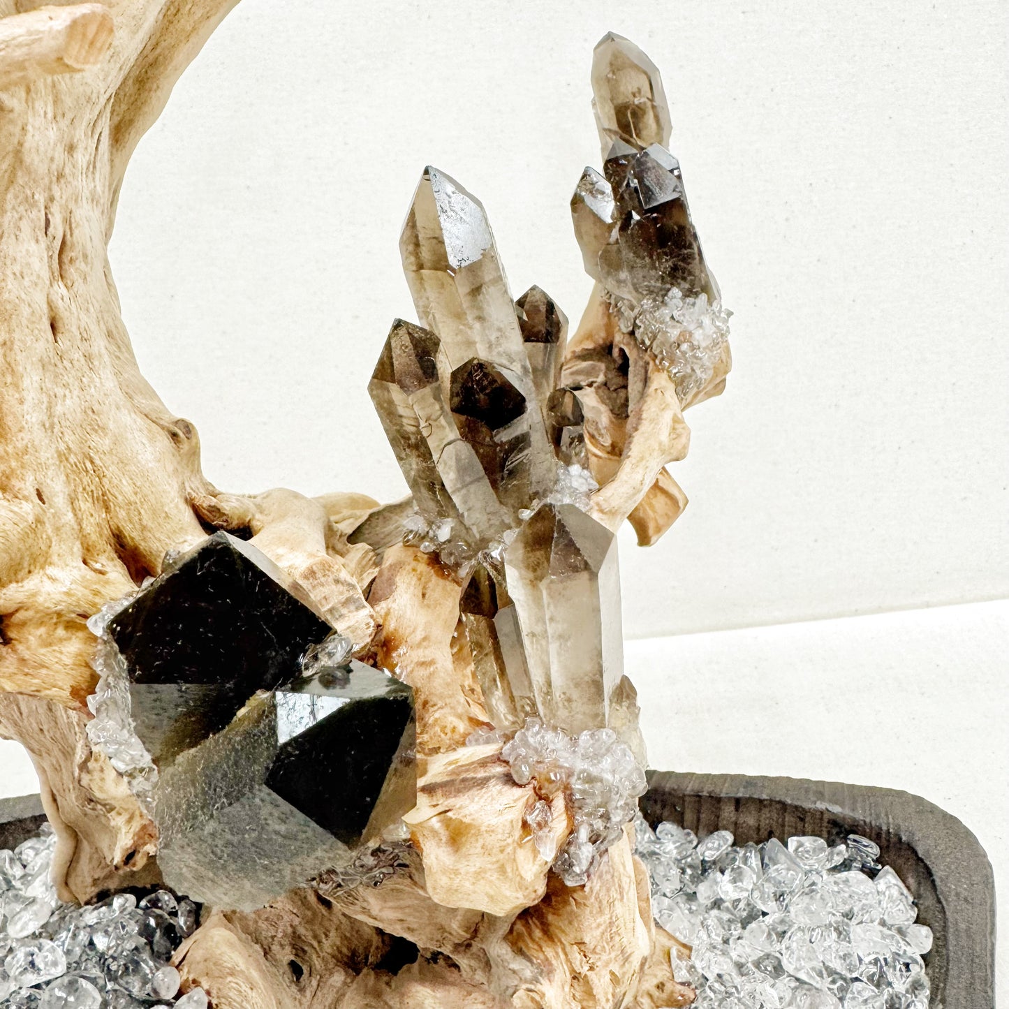 Tree of Grounding · Smoky Quartz on Ancient Wood