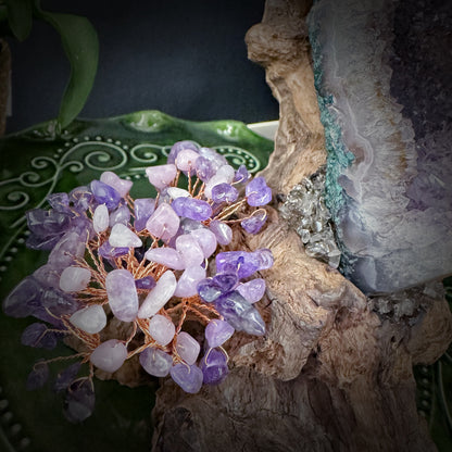 Mystic Bloom