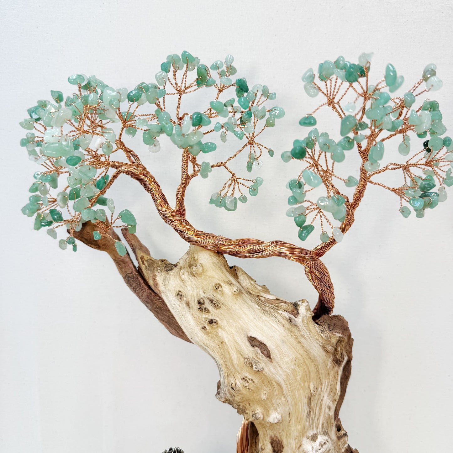 The Rooted Whisper