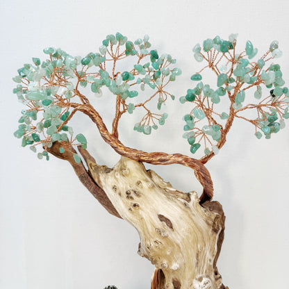 The Rooted Whisper