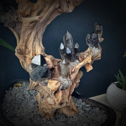 Tree of Grounding · Smoky Quartz on Ancient Wood