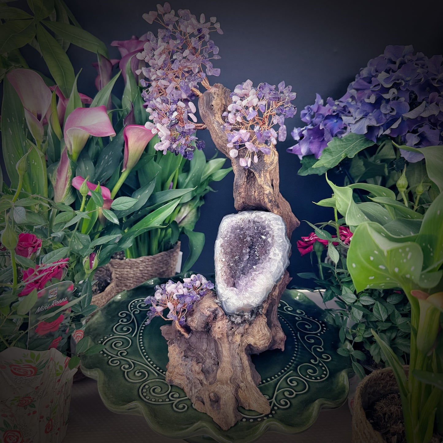 Mystic Bloom