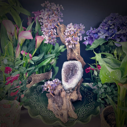 Mystic Bloom