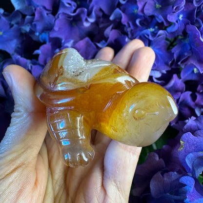 Treasure Turtle of AbundanceT#008