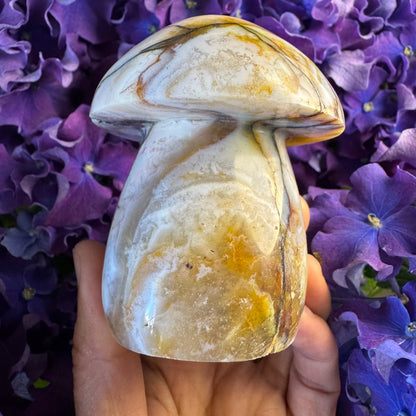 Ocean Wisdom Mushroom