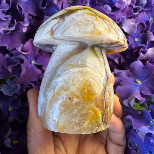 Ocean Wisdom Mushroom