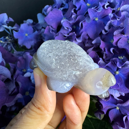 Treasure Turtle of AbundanceT#004