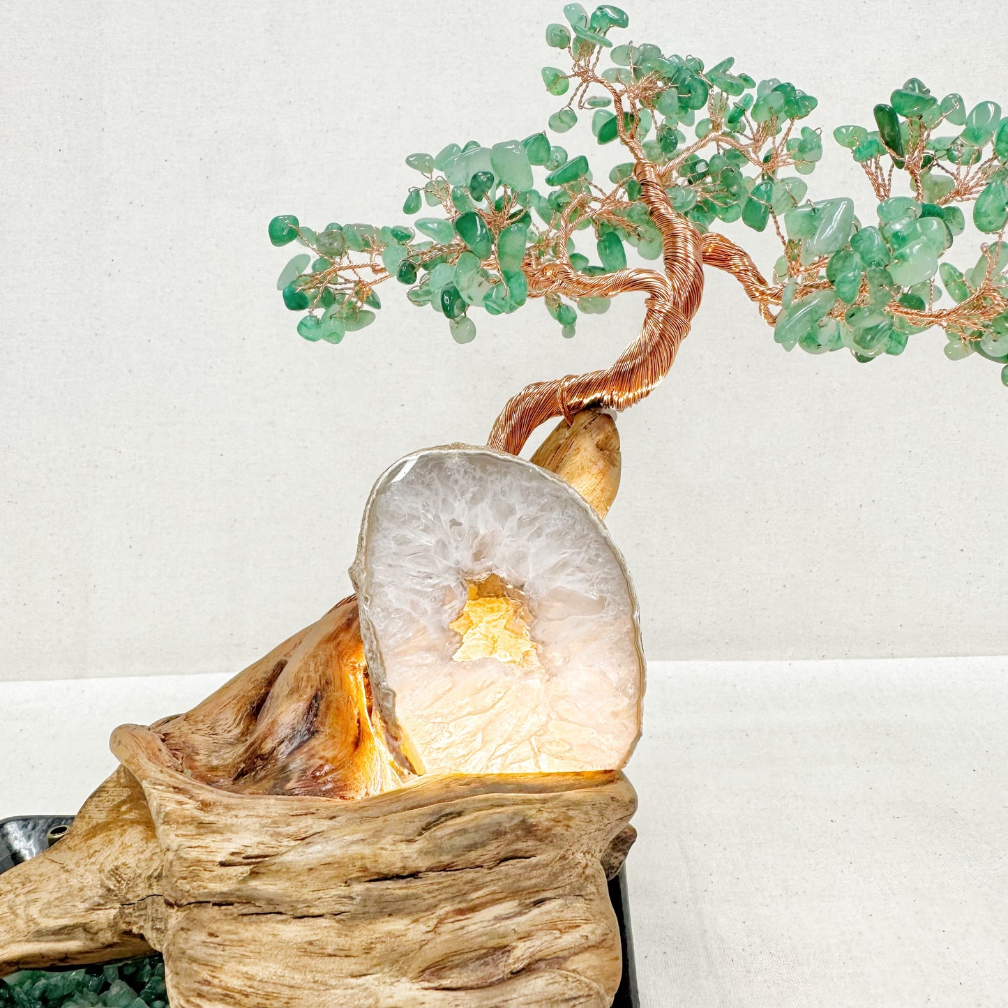 Rooted Clarity