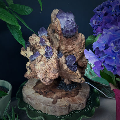 Mountain Flame · Amethyst Light on Ancient Wood
